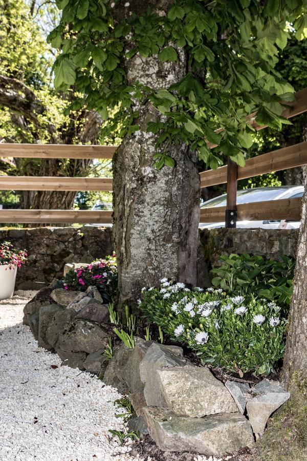 Hotel Saint Pierre Les Sauvages  Екстер'єр фото